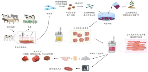 226起投融資、52個過億項目.食品飲料行業(yè)有哪些潛力賽道值得挖掘?